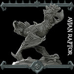 Avian Raptor