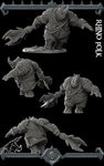 Rhino Folk