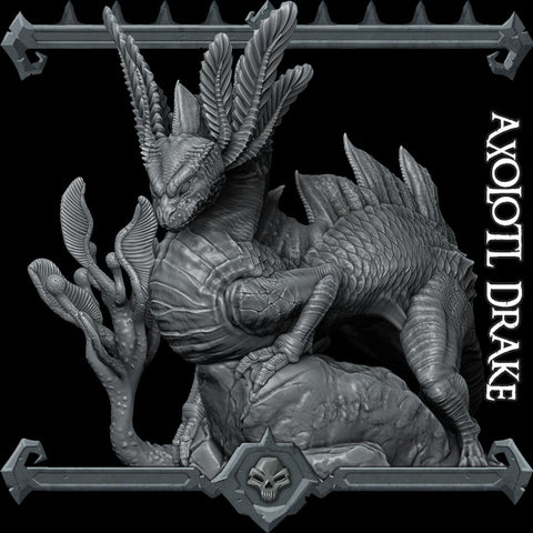Axolotl Drake