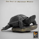 Archduke Mousin Turtle
