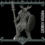 Winter Knight